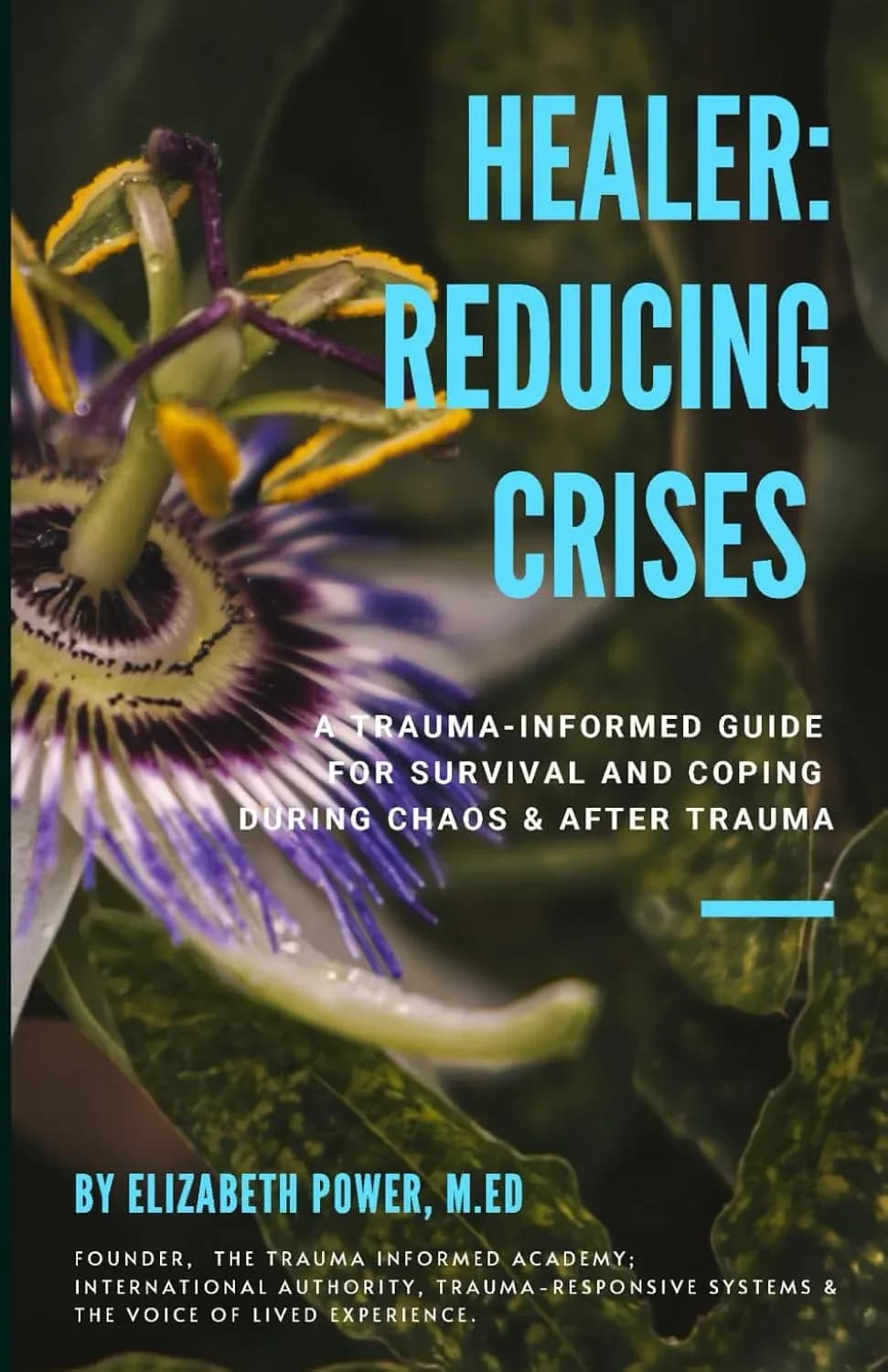 Healer: Reducing Crises