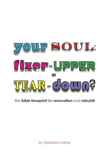 Your Soul: Fixer-Upper or Tear-Down? book cover
