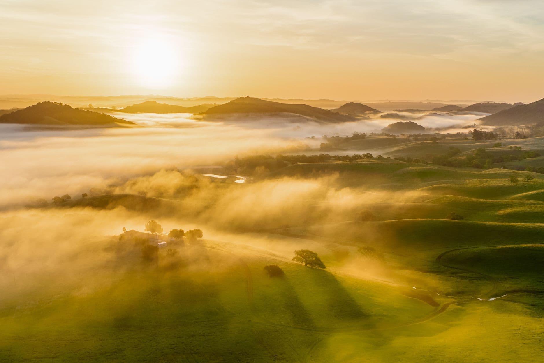 A breathtaking view of foggy hills during sunrise, with golden light cascading over the landscape.