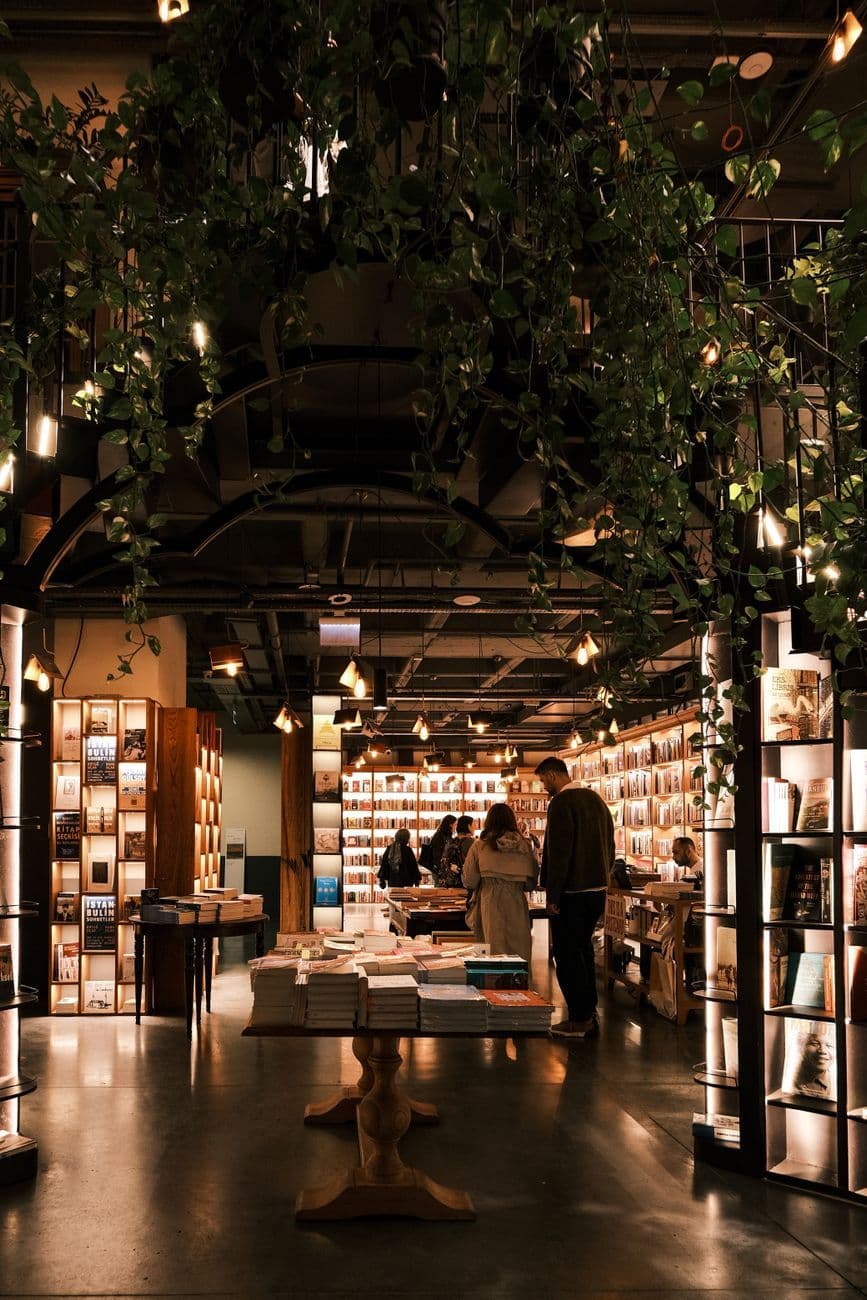 Warm and inviting bookstore interior with ambient lighting and lush plant decorations.