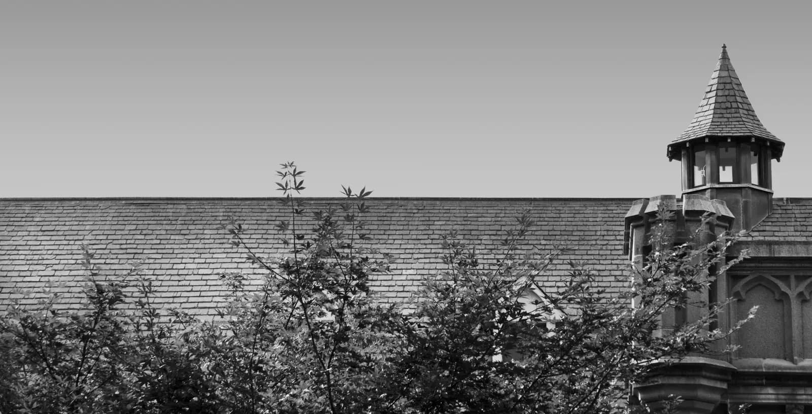 A black and white photograph of a slate roof and a stone turret with a lantern on the Princeton University Press building, seen above bare tree branches against a clear sky.